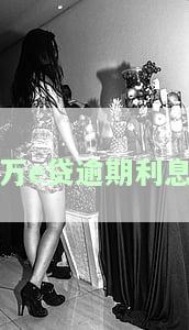 万e贷逾期不还会不会起诉，万e贷逾期未还：是否会面临法律诉讼？