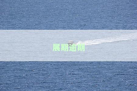 展期逾期区别，了解展期与逾期的区别：重要提示