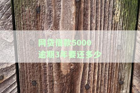网贷借款5000逾期3年要还多少