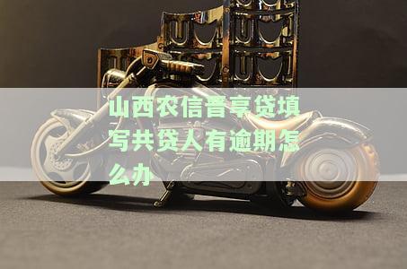 山西农信晋享贷填写共贷人有逾期怎么办