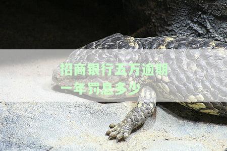 招商银行五万逾期一年罚息多少-招行欠款5万逾期两年可以协商还本金吗