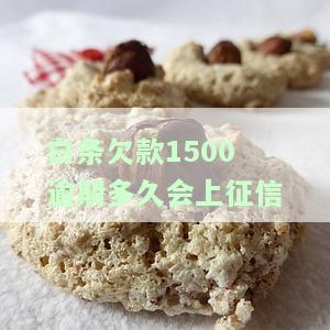 白条欠款1500逾期多久会上征信报告，关于白条欠款1500逾期上征信报告的时间问题
