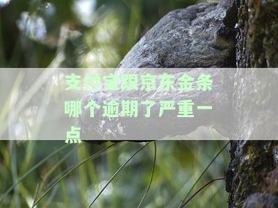 支付宝与京东金条：逾期哪个更严重？如何解决？