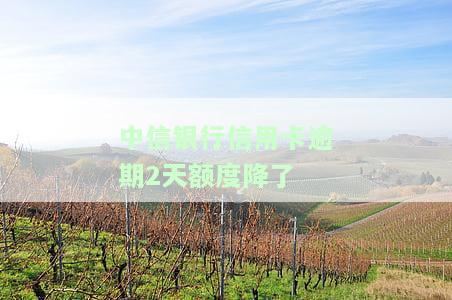 中信银行信用卡逾期2天额度降低后如何恢复？