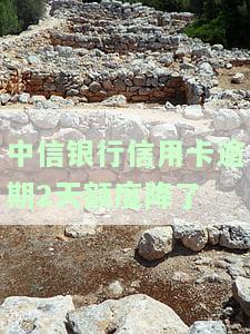 中信银行逾期几天就把卡停了还最低还款，中信银行信用卡逾期：停卡与最低还款的处理方式
