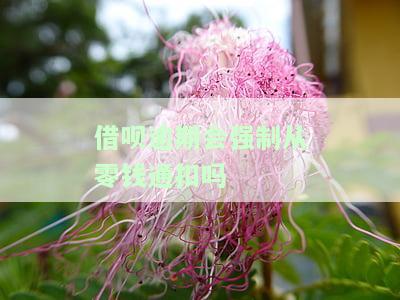 借呗逾期会强制从零钱通扣吗-借呗逾期后会强制扣款吗