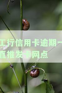 为什么工商银行信用卡逾期不打电话，揭秘：工商银行为何对信用卡逾期者不进行电话催收？