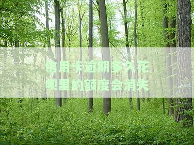 欠信用卡逾期多久会被起诉，信用卡逾期多久会面临法律诉讼？
