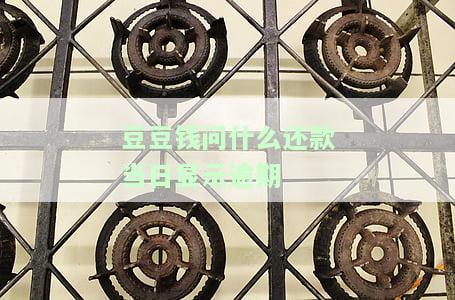 豆豆钱还款异常什么情况，解决豆豆钱还款异常的可能原因与步骤