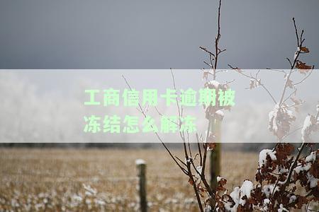 工商银行因信用卡逾期冻结工资卡合法吗，工商银行因信用卡逾期冻结工资卡是否合法？探讨相关法律规定与处理方式