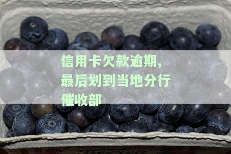 如何有效应对信用卡逾期催收电话？区分银行和个人号，掌握应对技巧！