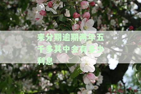 来分期5000逾期两年，是否会面临起诉？