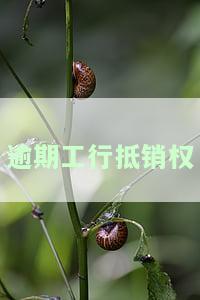 工行债务抵销是什么意思，解读工行债务抵销：何为债务抵销及其法律效力