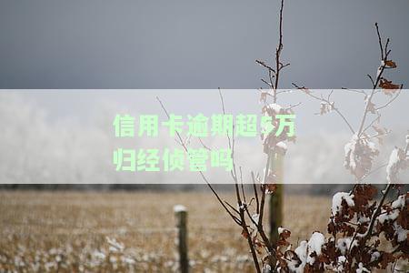 超过5万信用卡逾期被起诉，逾期5万元以上信用卡欠款者或将面临诉讼