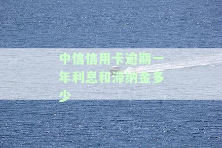 中信信用卡逾期一年利息和滞纳金多少？全网最全解答！