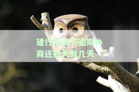 建行信用卡逾期协商还款大概几天
