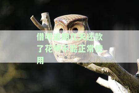 借呗逾期几天还款了花呗不能正常使用怎么办，解决花呗无法使用问题：借呗逾期后如何恢复正常？