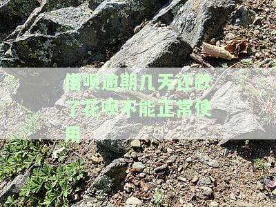 借呗逾期了几天花呗就不能用了,多久能使用，借呗逾期几天后，花呗还能否正常使用？恢复时间解析