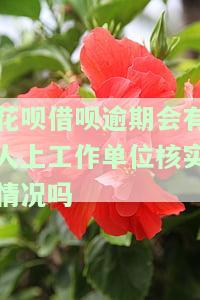 花呗借呗逾期会有人上工作单位核实情况吗是真的吗，真相揭示：花呗借呗逾期是否会导致工作人员到单位核实情况？