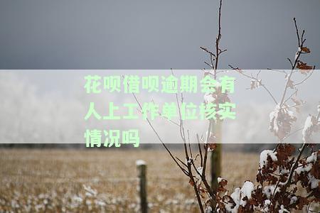 花呗借呗逾期会有人上工作单位核实情况吗-花呗借呗逾期会有人上工作单位核实情况吗是真的吗