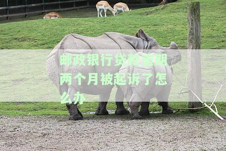 邮政银行贷款逾期多久会起诉？时效规定与影响解析