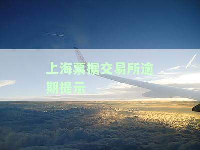 上海票据交易所票据状态查询服务 - 
