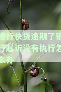 建行快贷逾期了银行起诉没有执行怎么办，建行快贷逾期未执行，被银行起诉如何应对？