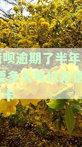 借呗逾期半年后已还款，何时能重新开通？
