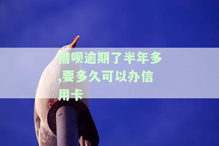 借呗逾期了半年多,要多久可以办信用卡-借呗逾期了半年多,要多久可以办信用卡了