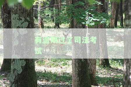 有逾期过了司法考试能过吗，逾期会影响司法考试通过吗？