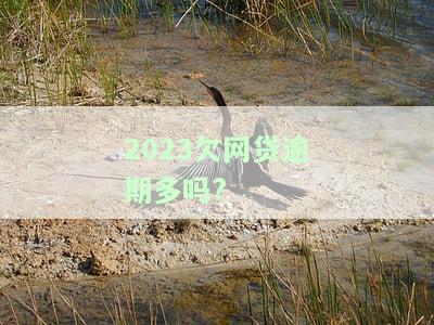 今年网贷逾期上征信吗，是否会上征信？今年网贷逾期问题详解