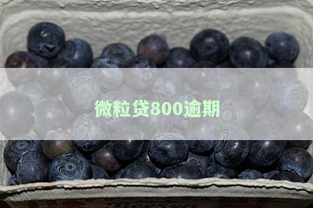 微粒贷欠款8000逾期了，逾期还款危机：微粒贷8000元债务如何解决？