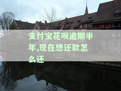 支付宝花呗逾期半年,现在想还款怎么还不了，支付宝花呗逾期半年，目前无法还款该怎么办？