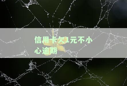信用卡欠1元逾期了，该怎么办？