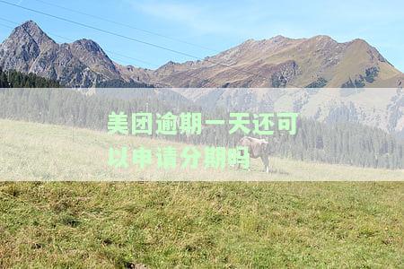 美团逾期一天是不是以后都不能用了，美团逾期一天会有什么后果？能否继续使用？