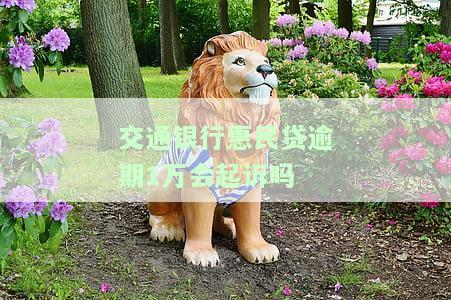交通银行民贷逾期五天额度就被冻结了提不出来，逾期五天，交通银行民贷额度被冻结无法提取