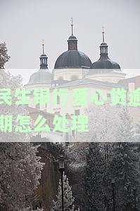 民生银行爱心贷逾期怎么处理-民生银行爱心贷逾期怎么处理的