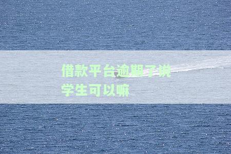 平台借款逾期会影响孩子上学吗，逾期借款会否影响孩子上学？——关于平台借款的法律风险解析