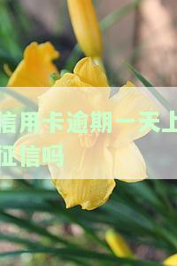 信用卡逾期一天上征信吗-邮政银行信用卡逾期一天上征信吗