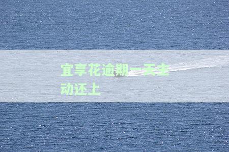 宜享花逾期1天，【警示】宜享花逾期1天，影响信用记录，需尽快还款！