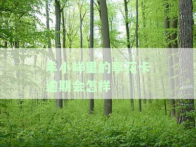 羊小咩享花卡逾期几天催收，逾期还款警告：羊小咩享花卡催收机制启动！