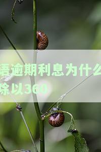 逾期利息是什么？是指本金吗？
