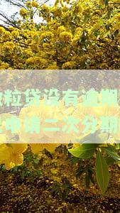 微粒贷没有逾期可以申请二次分期吗，如何申请微粒贷的二次分期？即使之前没有逾期也可以尝试！
