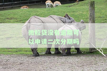 微粒贷没有逾期,其他平台有逾期,可以还款后再借出嘛，解决借款问题：微粒贷无逾期，其他平台逾期，如何在还清欠款后重新申请贷款？