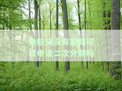 微粒贷没有逾期可以申请二次分期吗