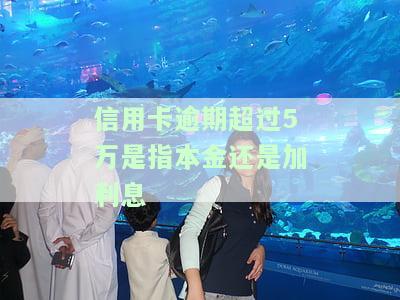 信用卡逾期超过5万是指本金还是加利息