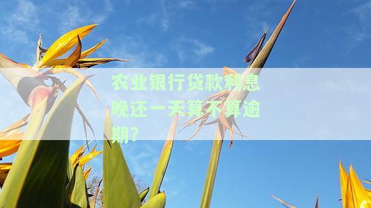 农行贷款利息晚还了三四天会影响征信吗，农行贷款逾期三四天会损害你的信用记录吗？