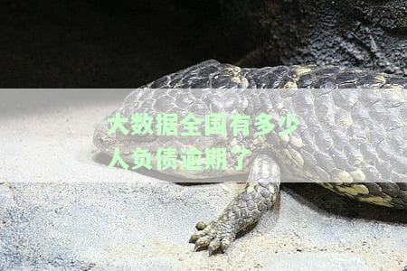 全国多少人逾期2020：贷款情况及未来趋势分析