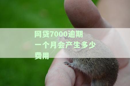 网贷7000逾期800多天，逾期800多天，网贷7000元仍未偿还