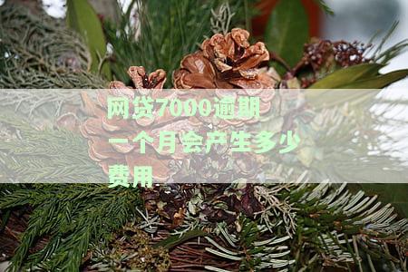 网贷7000逾期一个月会产生多少费用-网贷7000逾期一个月会产生多少费用呢